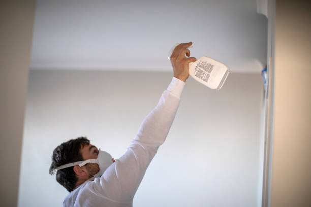Best Mold Removal Near Me  in Yerington, NV